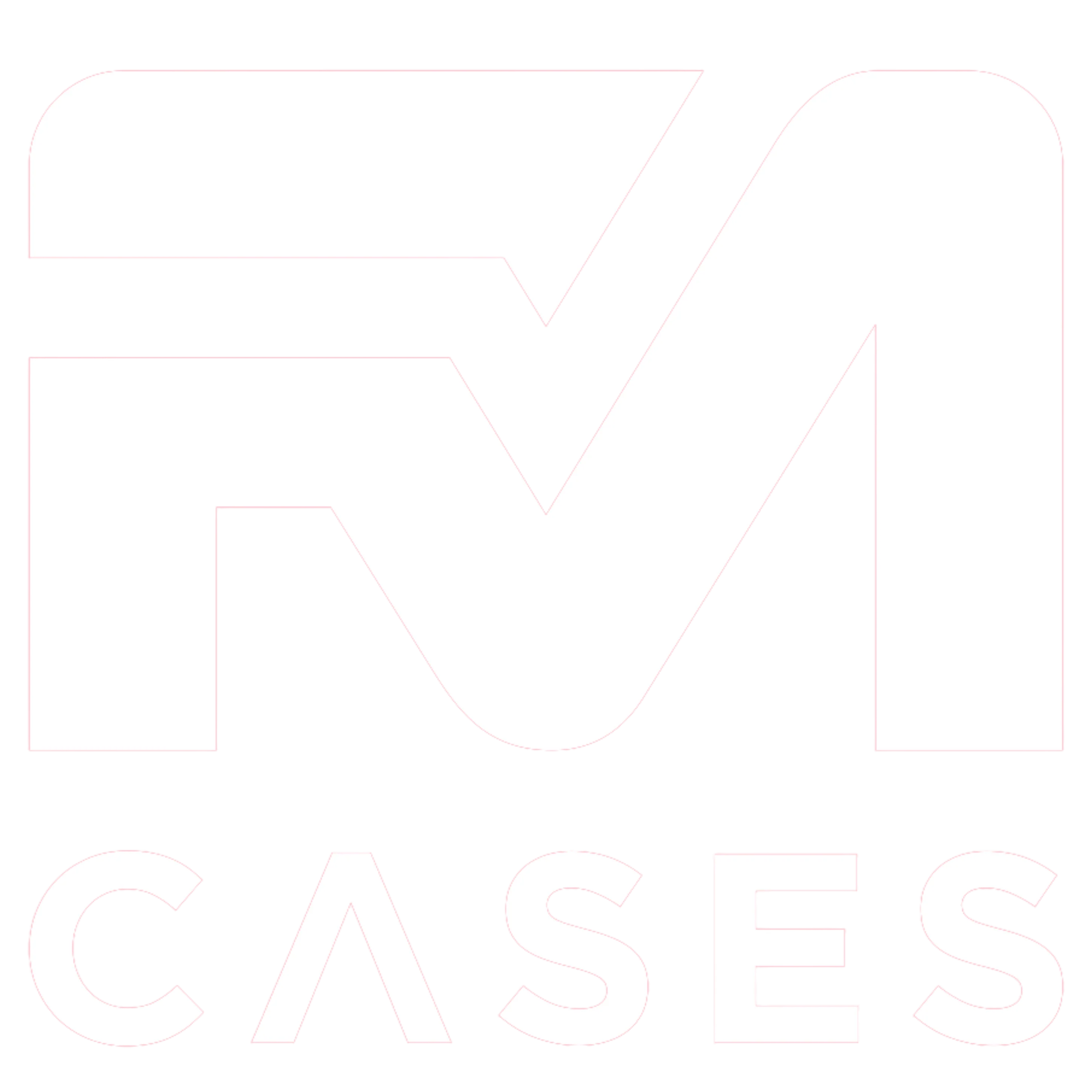 FM Cases